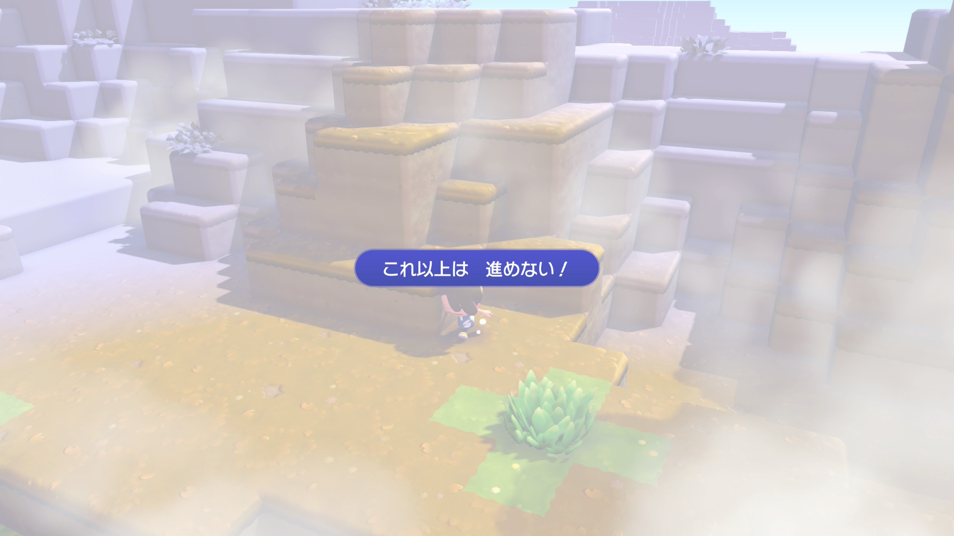 ぽこあポケモン行き止まり