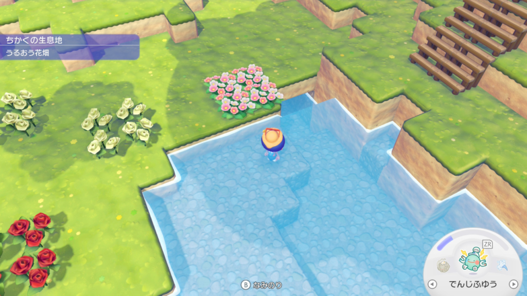 ぽこあポケモン